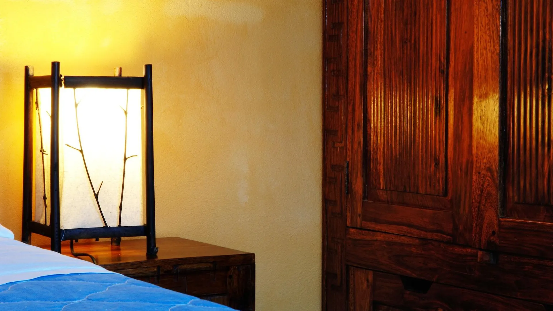 피아차암머리나 La Casa Sulla Collina D'Oro B&B