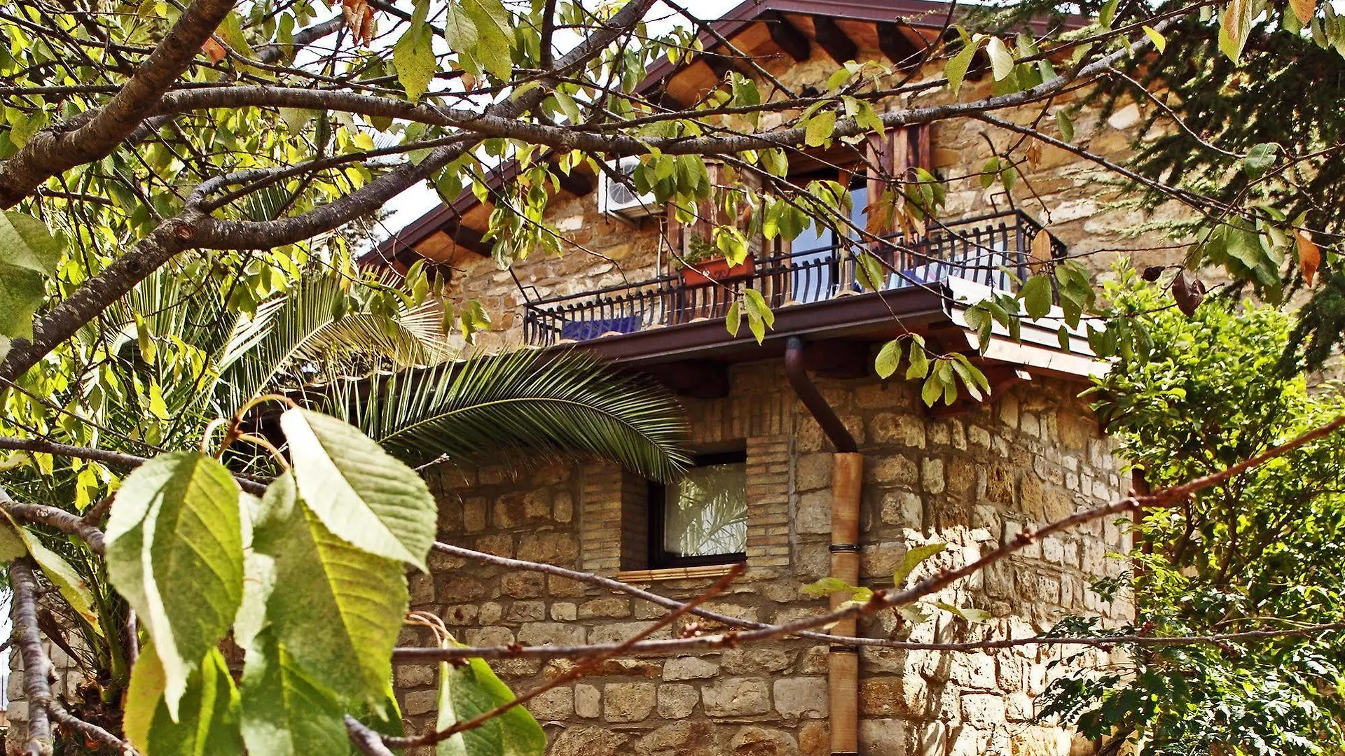 피아차암머리나 La Casa Sulla Collina D'Oro B&B
